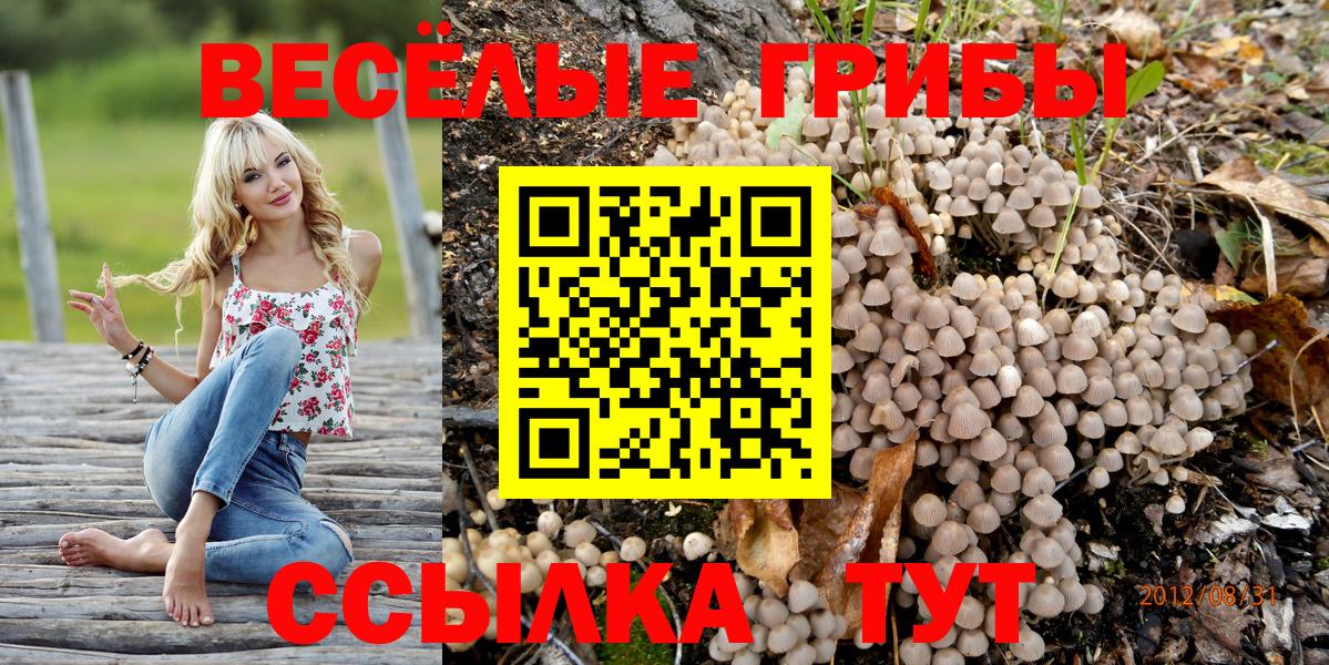 Киров  Галлюциногенные грибы MAGIC MUSHROOMS  Вход с VPN  хочу   Псилоцибиновые грибы прущие грибы 