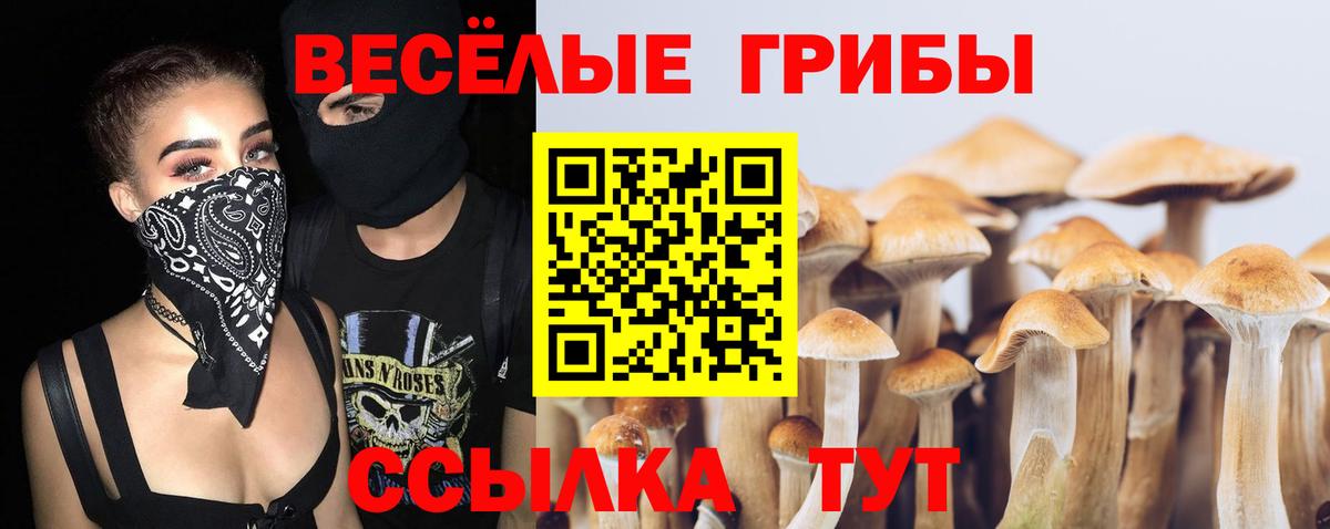 Кокаин  ГАШИШ  MDMA  Вход с VPN  Киров  МЕФ кристаллы  Каннабис  Где купить 